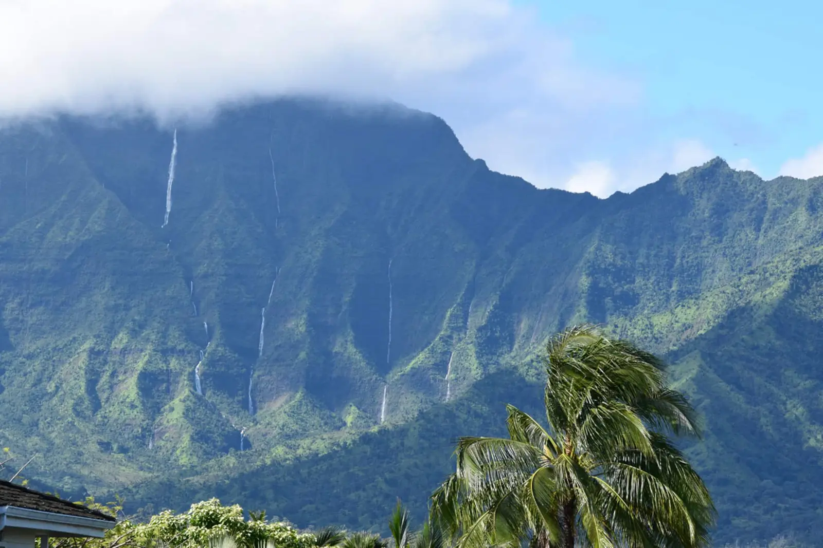 Waterfall views from Lani Hanalei Hale. A mountain ridge with several waterfalls, clouds along the peaks, and a palm tree and wooden railing in the foreground.
